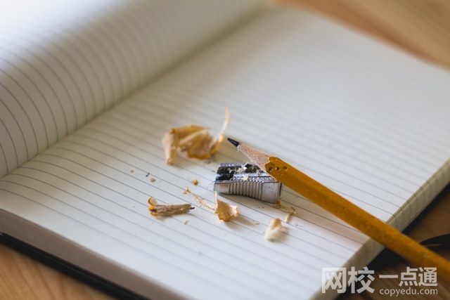 政治学为主要学科的高等院校
