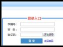 避免被站外镜像带偏